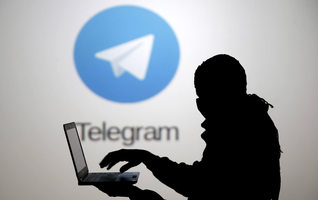telegram为什么不能加人？