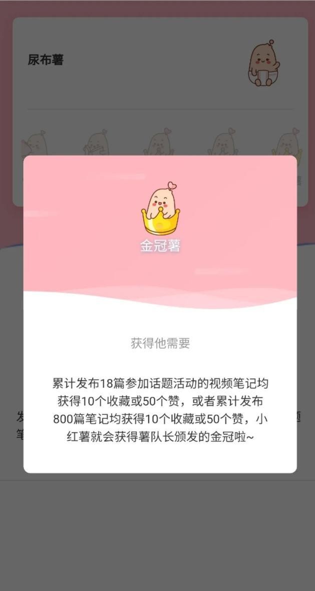 关于小红书养号的技巧已经都在这里了