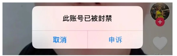 探探号被永久封禁还能再次被网友刷到吗