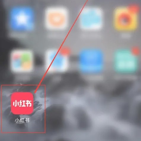 小红书号怎么搜索