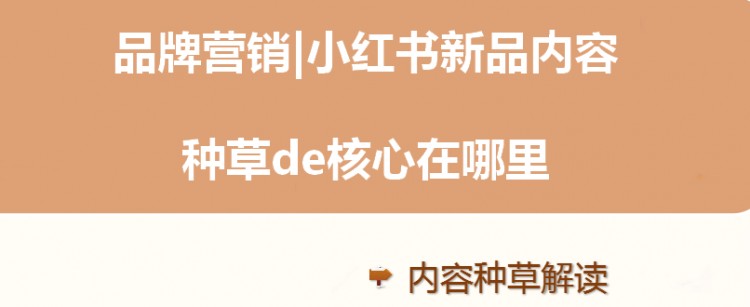 到底什么是内容种草如何去做好小红书产品种草!