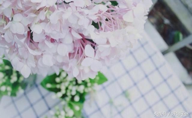 微信朋友圈最走心的爱情语录短句网络很流行很火!