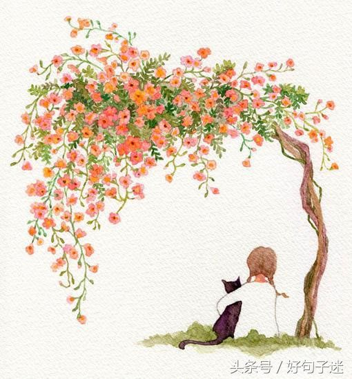 最近微信上率真洒脱的爱情语录读完让人感触很深!