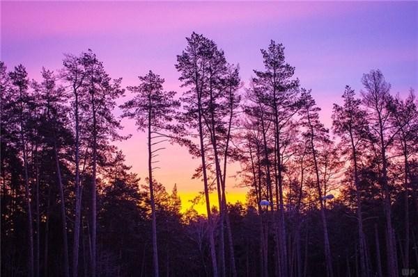 最近微信很火的爱情说说句句精辟洒脱！
