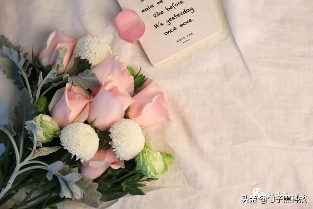 Soul恋恋72小时像极了爱情的样子!