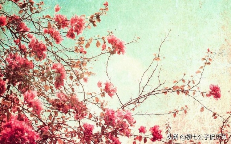 在微信里谈情说爱你仿佛看到了爱情最初的样子纯粹又美好!