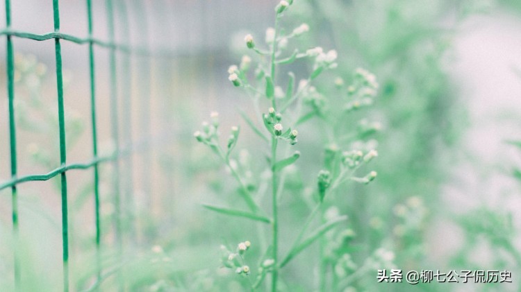 在微信里谈情说爱你仿佛看到了爱情最初的样子纯粹又美好!