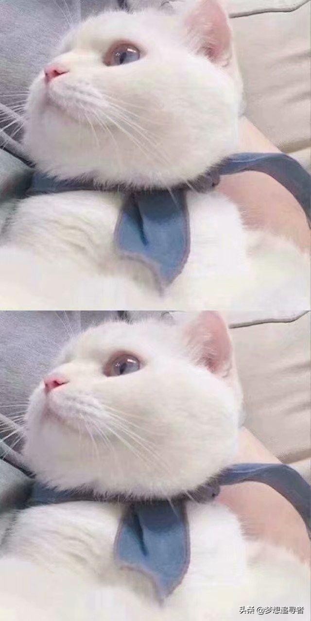 微信爱情暖心话遇到可爱的人晚风也好凉夜也罢都想笑