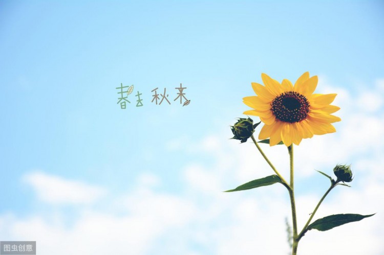 20个伤感爱情句子:一删微信便是永别愿你天黑有灯下雨有伞