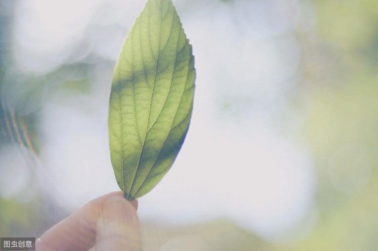 20个伤感爱情句子:一删微信便是永别愿你天黑有灯下雨有伞