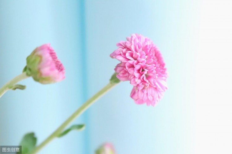 20个伤感爱情句子:一删微信便是永别愿你天黑有灯下雨有伞