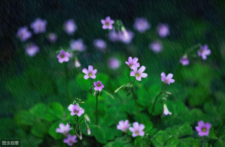 20个伤感爱情句子:一删微信便是永别愿你天黑有灯下雨有伞