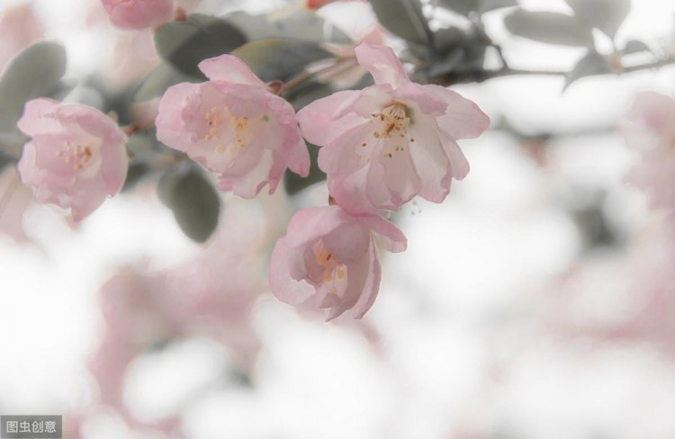 20个伤感爱情句子:一删微信便是永别愿你天黑有灯下雨有伞