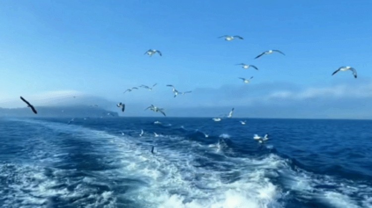 网名|适合冬季用的小众微信昵称