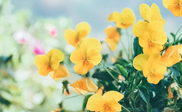 微信爱情大揭秘:谁最关注你的一举一动!