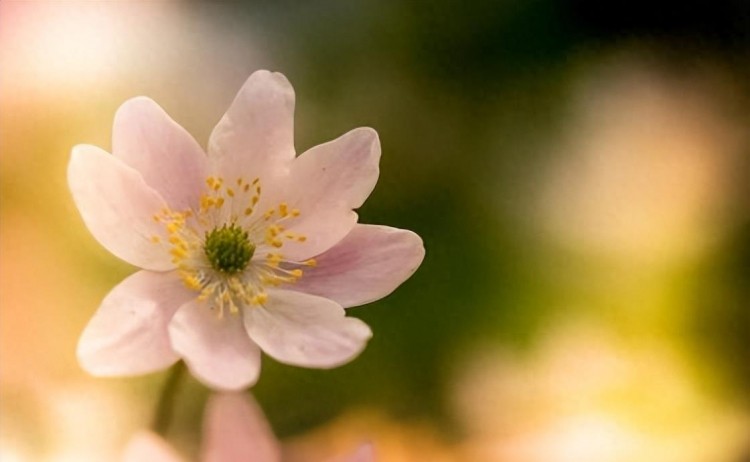 微信爱情大揭秘:谁最关注你的一举一动!