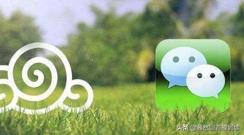 适合80后的两个字的微信名大家都在问