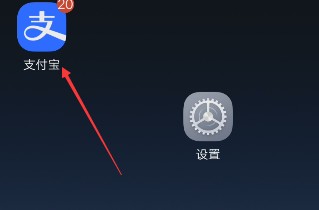 如何使用支付宝账号与密码登录大家都在问