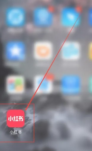 怎么查一个人的小红书号