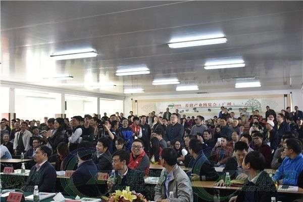 一个尾号为5个5的手机靓号拍出120万为何这种手机号还有人争抢